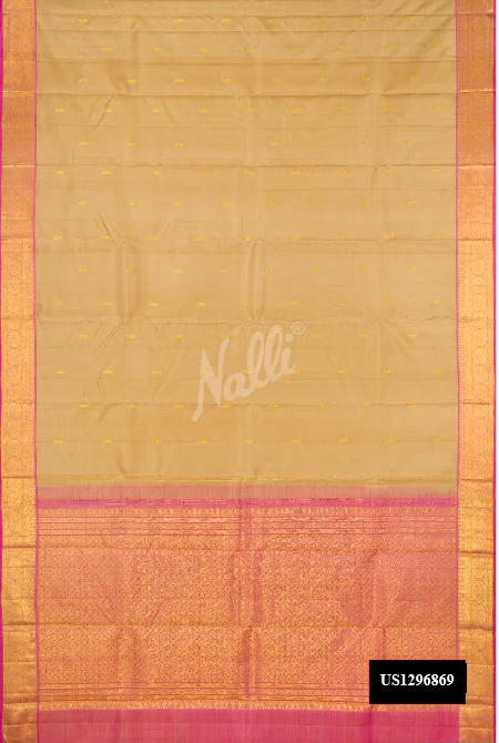 Beige Dual Tone Kanchipuram Silk Saree