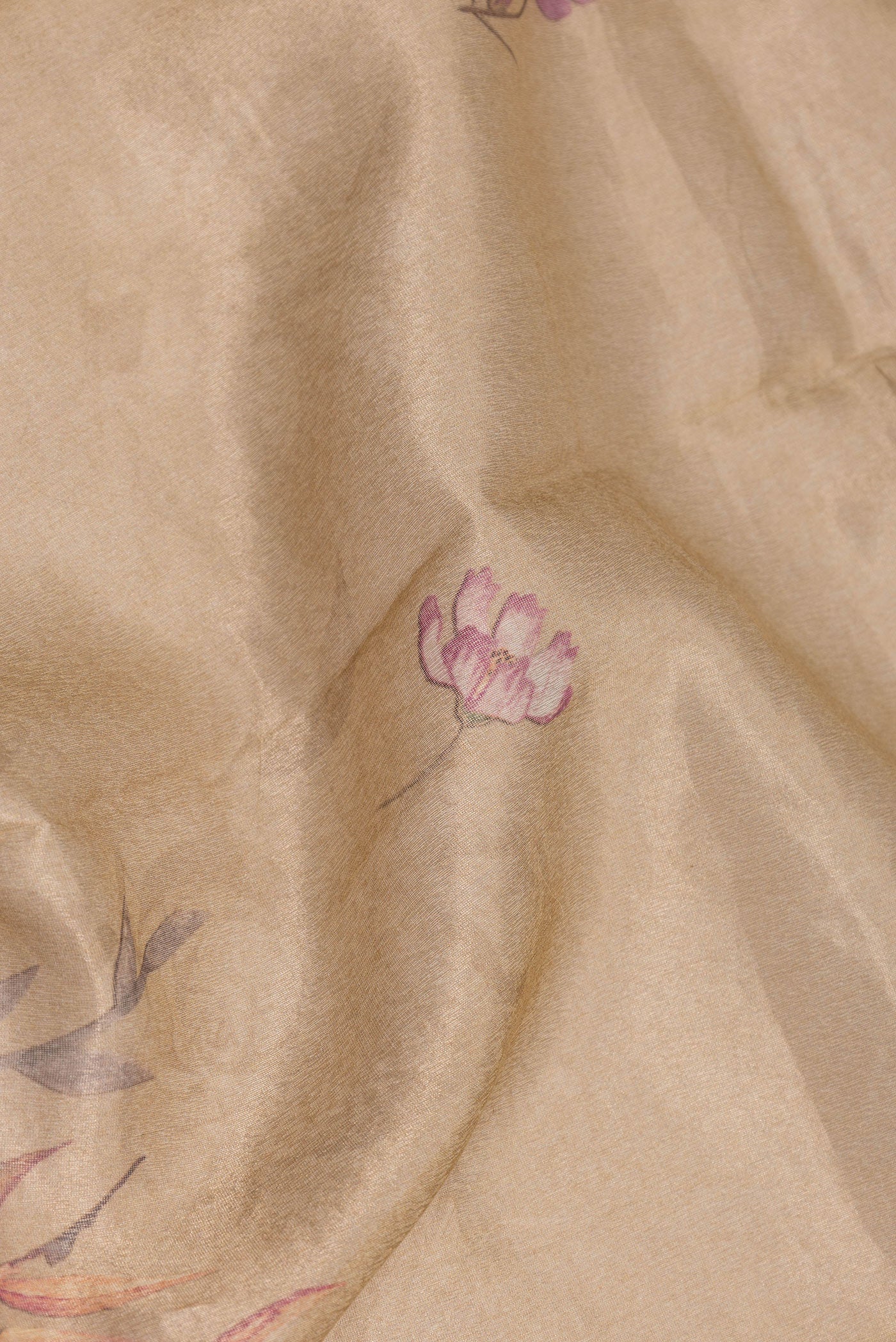 Beige Dual Tone Organza Silk Saree - Image 2