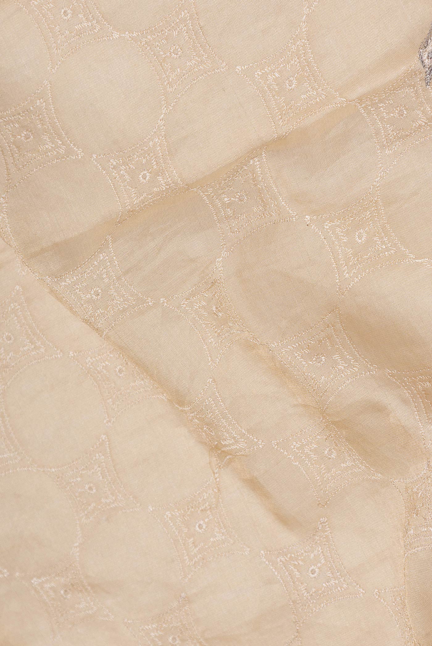 Beige Organza Silk Saree - Image 2