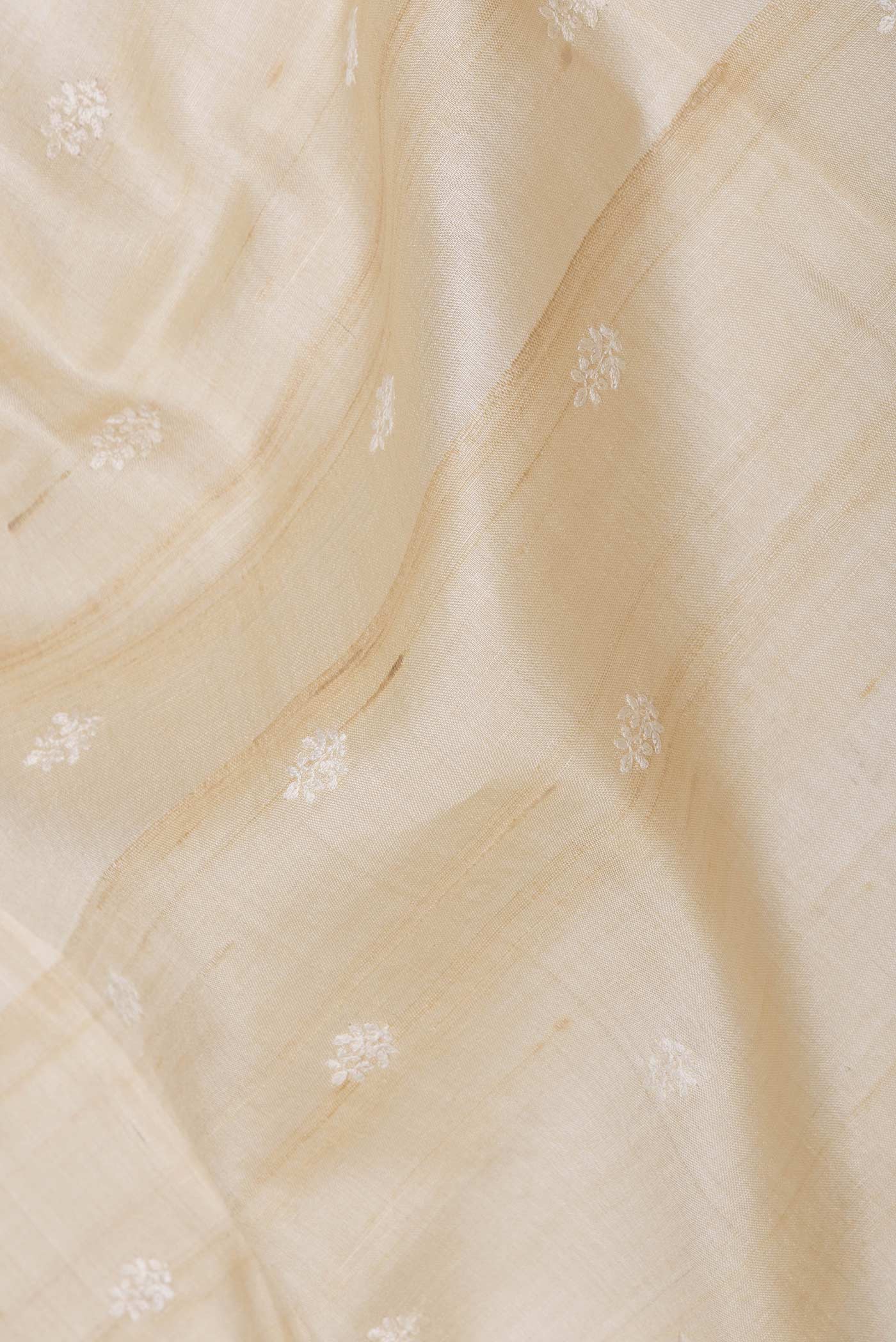 Beige Dual Tone Tussar Saree - Image 2