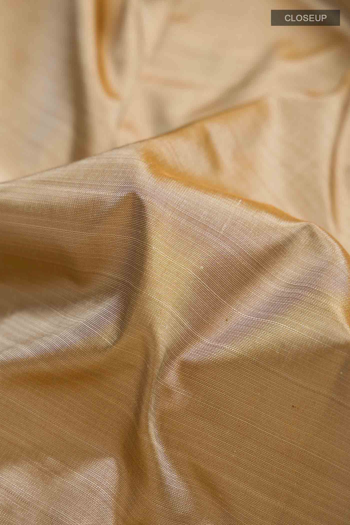 Beige Kanjivaram Silk Saree - Image 2