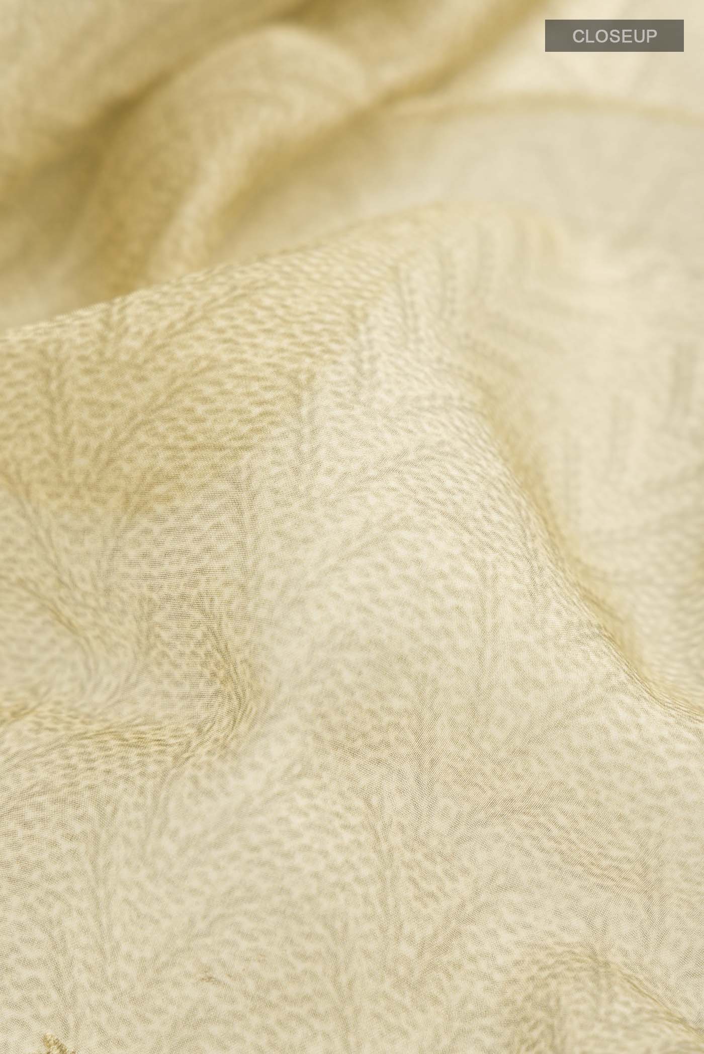 Beige Organza Silk Saree - Image 2