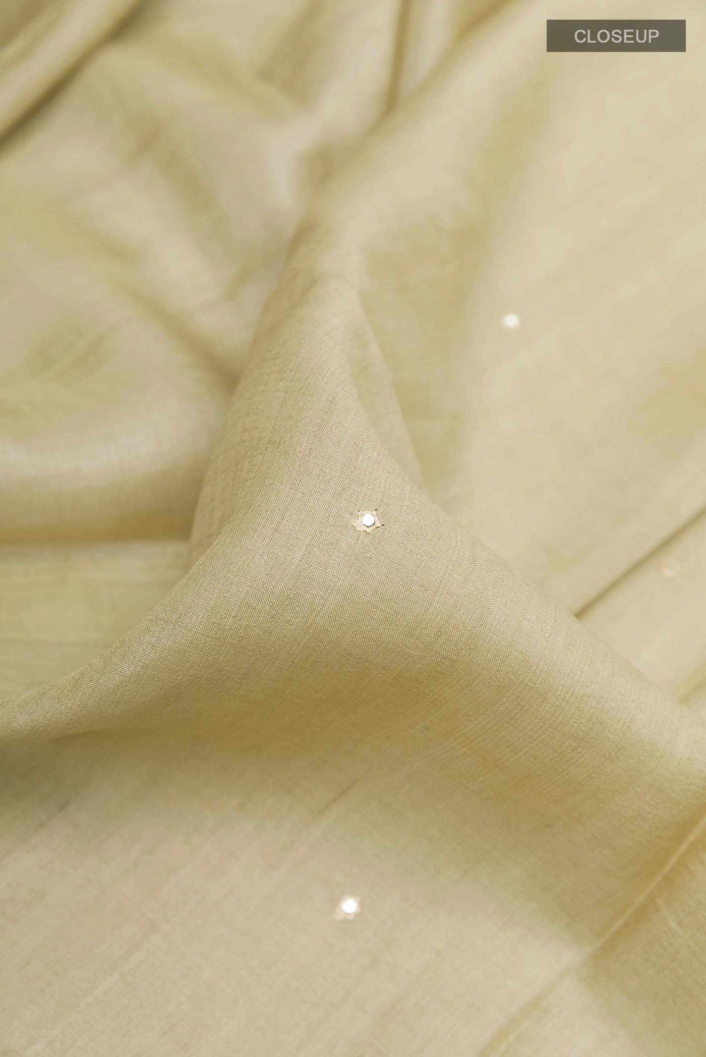 Beige Tussar Saree - Image 2