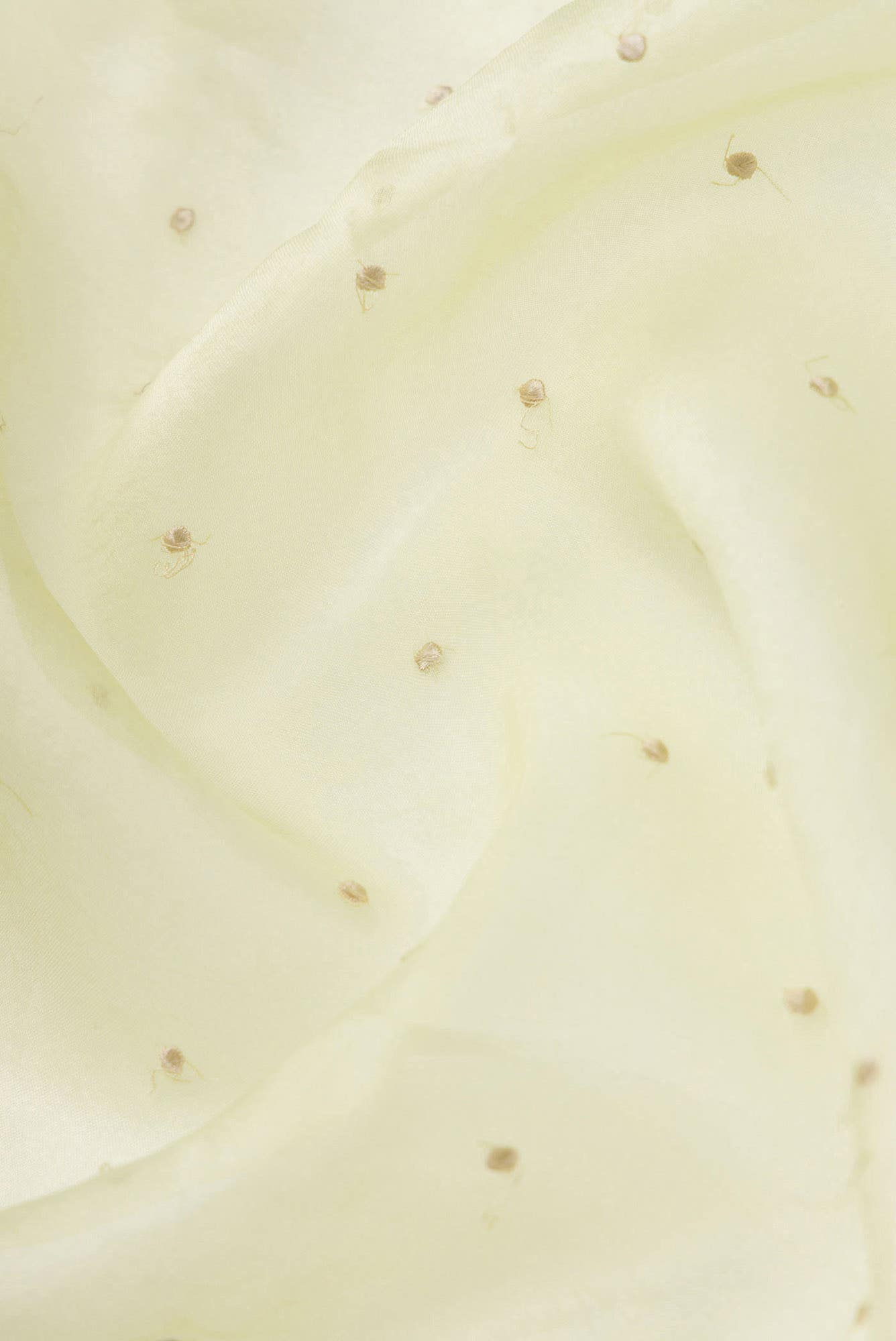 Piety of a Lili Cream floral design saree from Embroidered Romance Collection by Nalli - Image 4