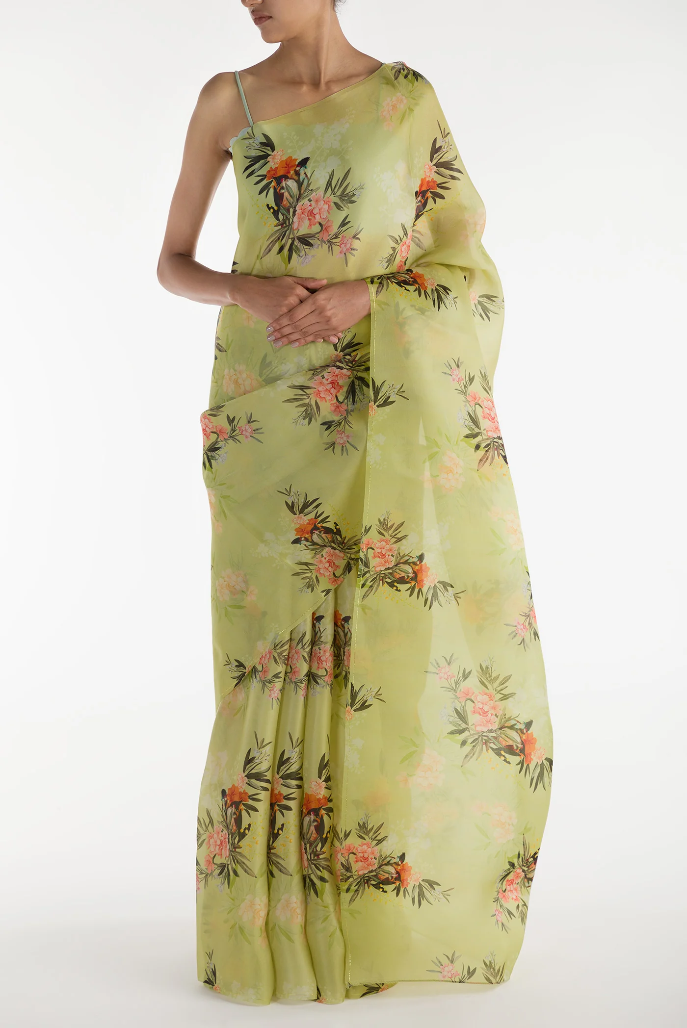 Enigmatic Bulbuls-Pista Green Satin Organza Saree