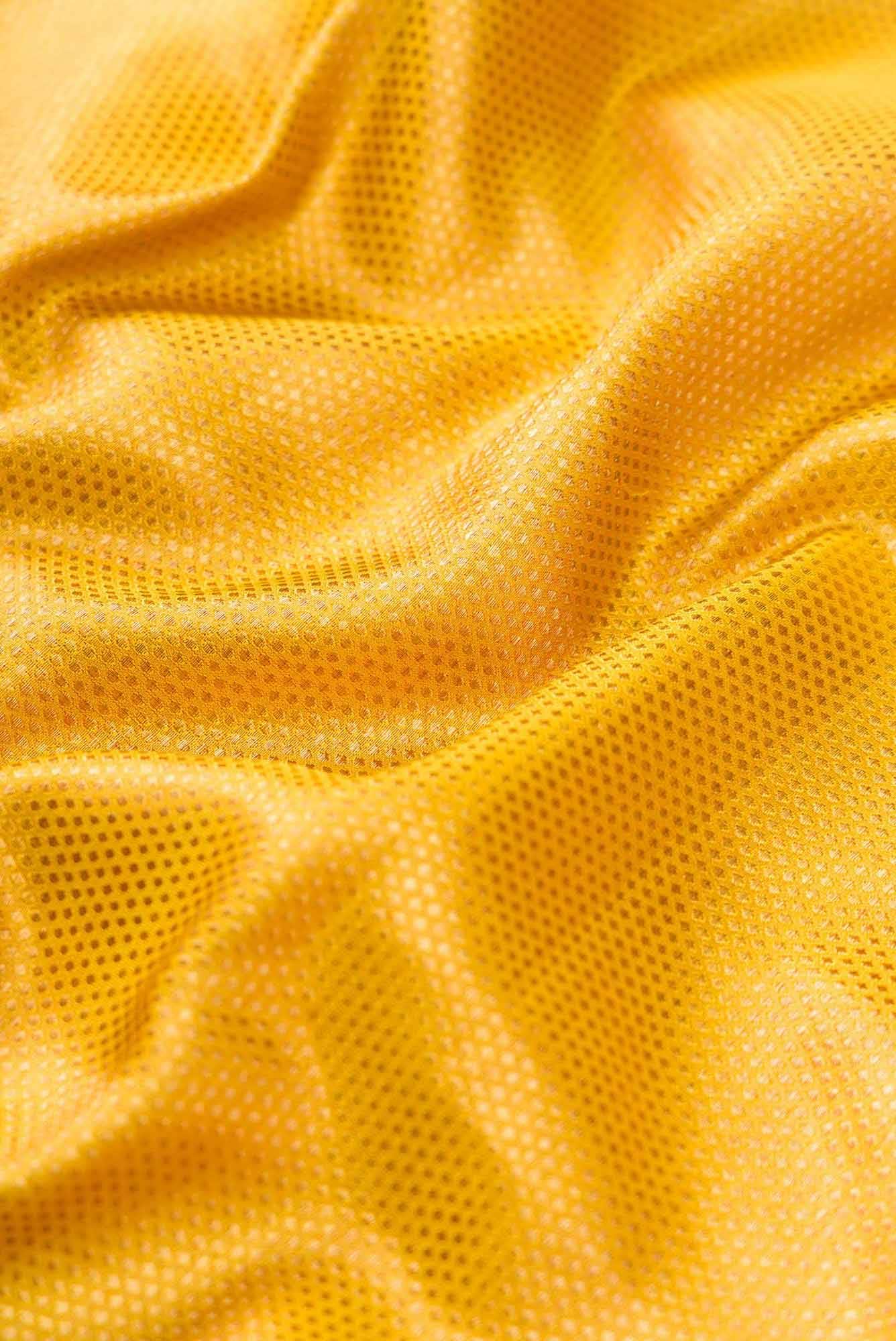 Pure Silk Pure Zari Gold Dual Tone Kanjivaram Saree - Image 3