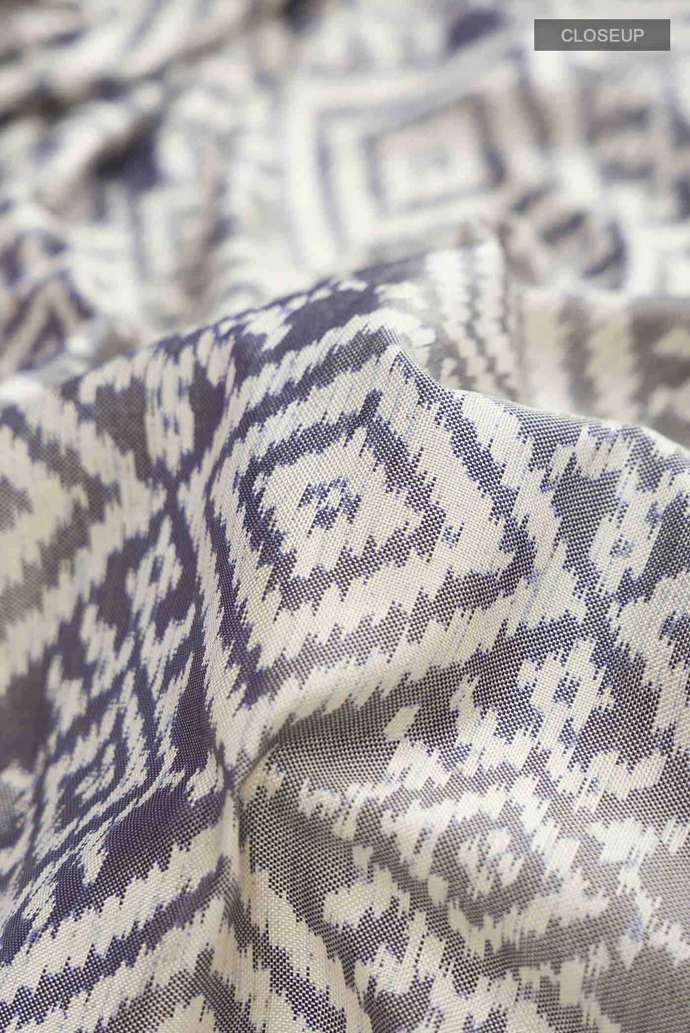 Grey Rajkot Patola Silk Saree - Image 2