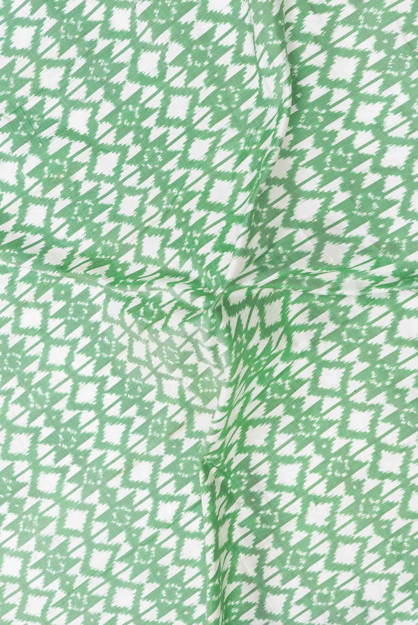 Light Green Dual Tone Double Ikat Saree - Image 3