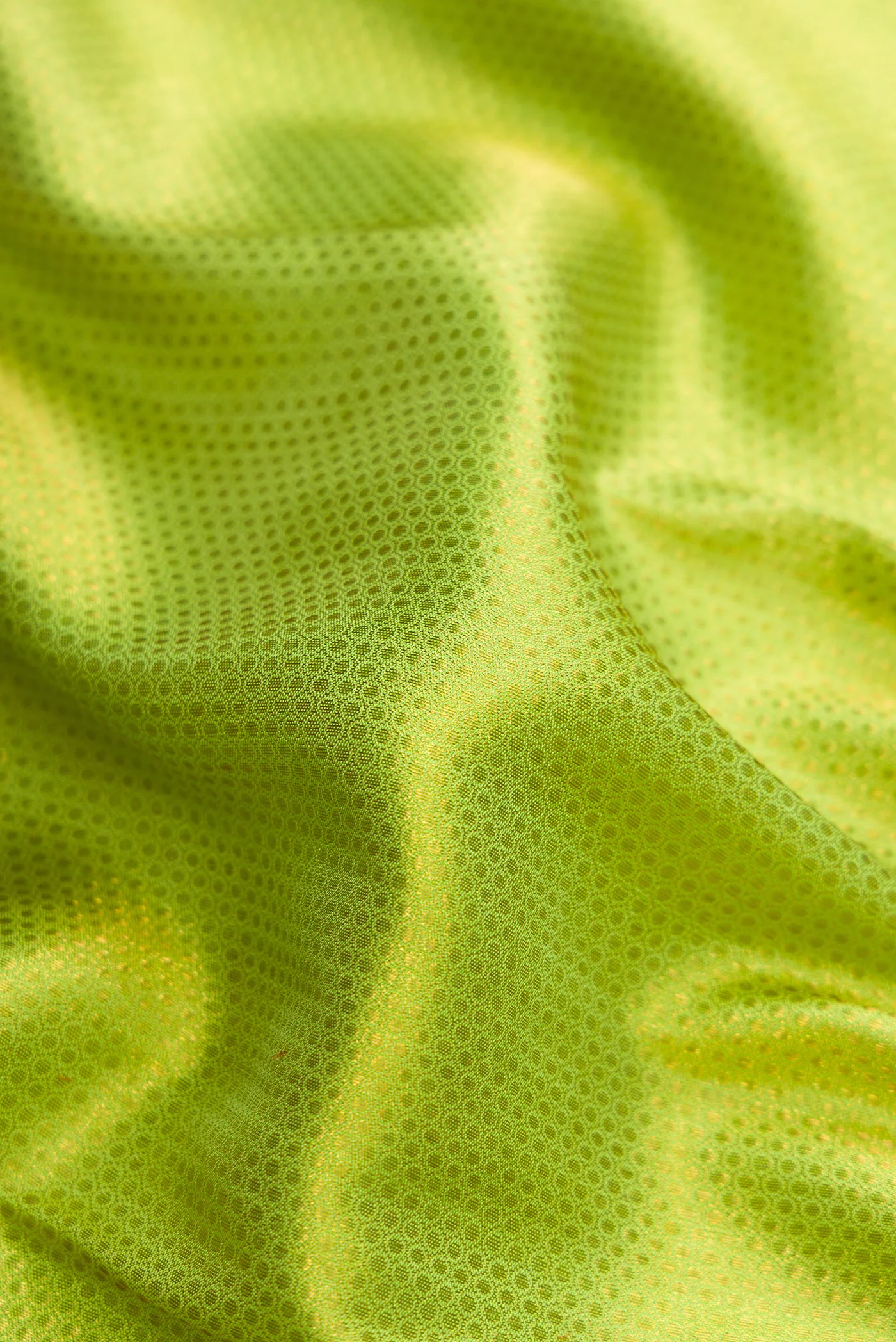 Parrot Green Kanchipuram Silk Saree - Image 2