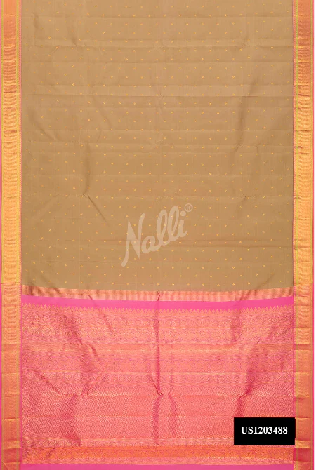 Pista Green Dual Tone Kanchipuram Silk Saree