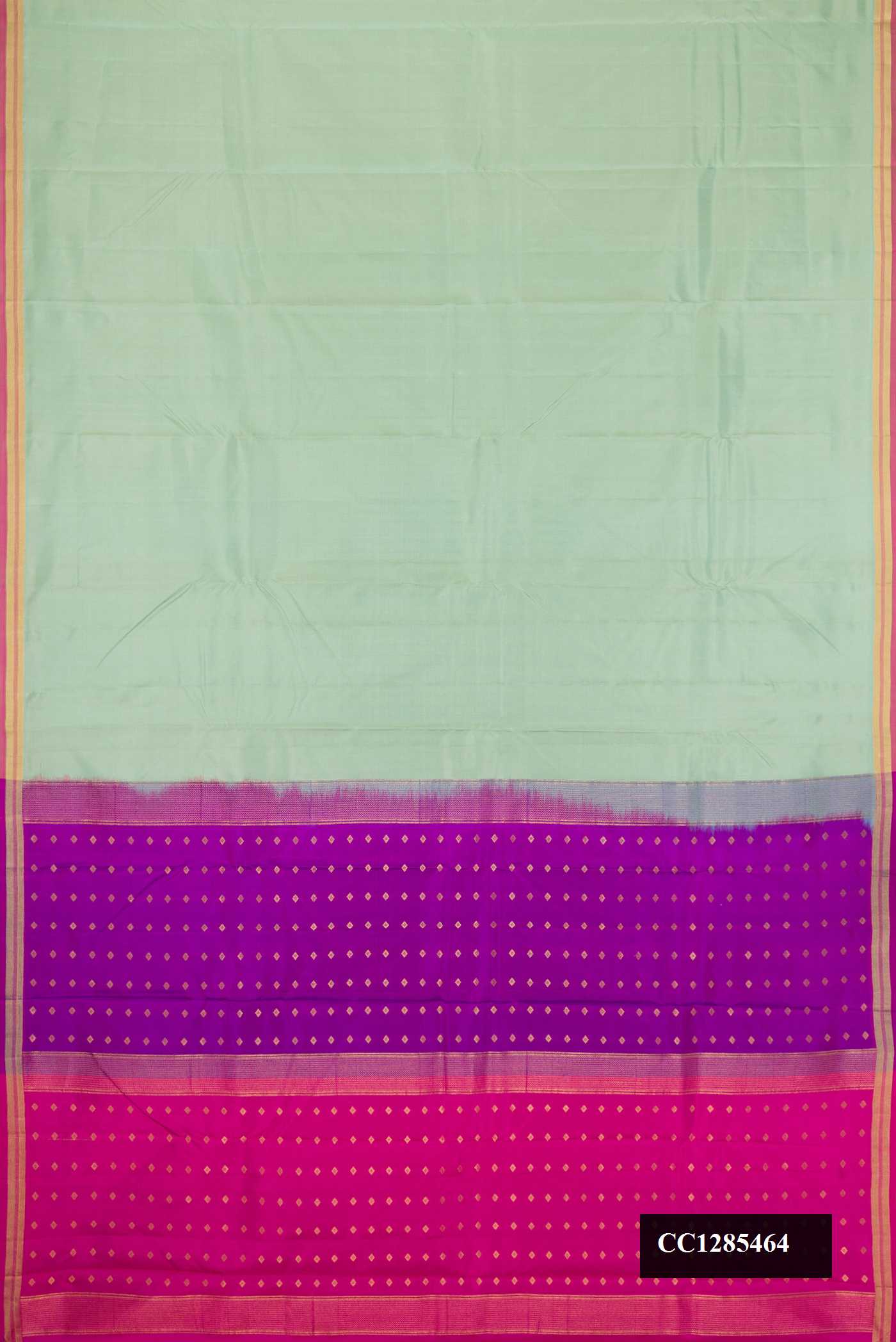 Pista Green Dual Tone Kanchipuram Silk Saree