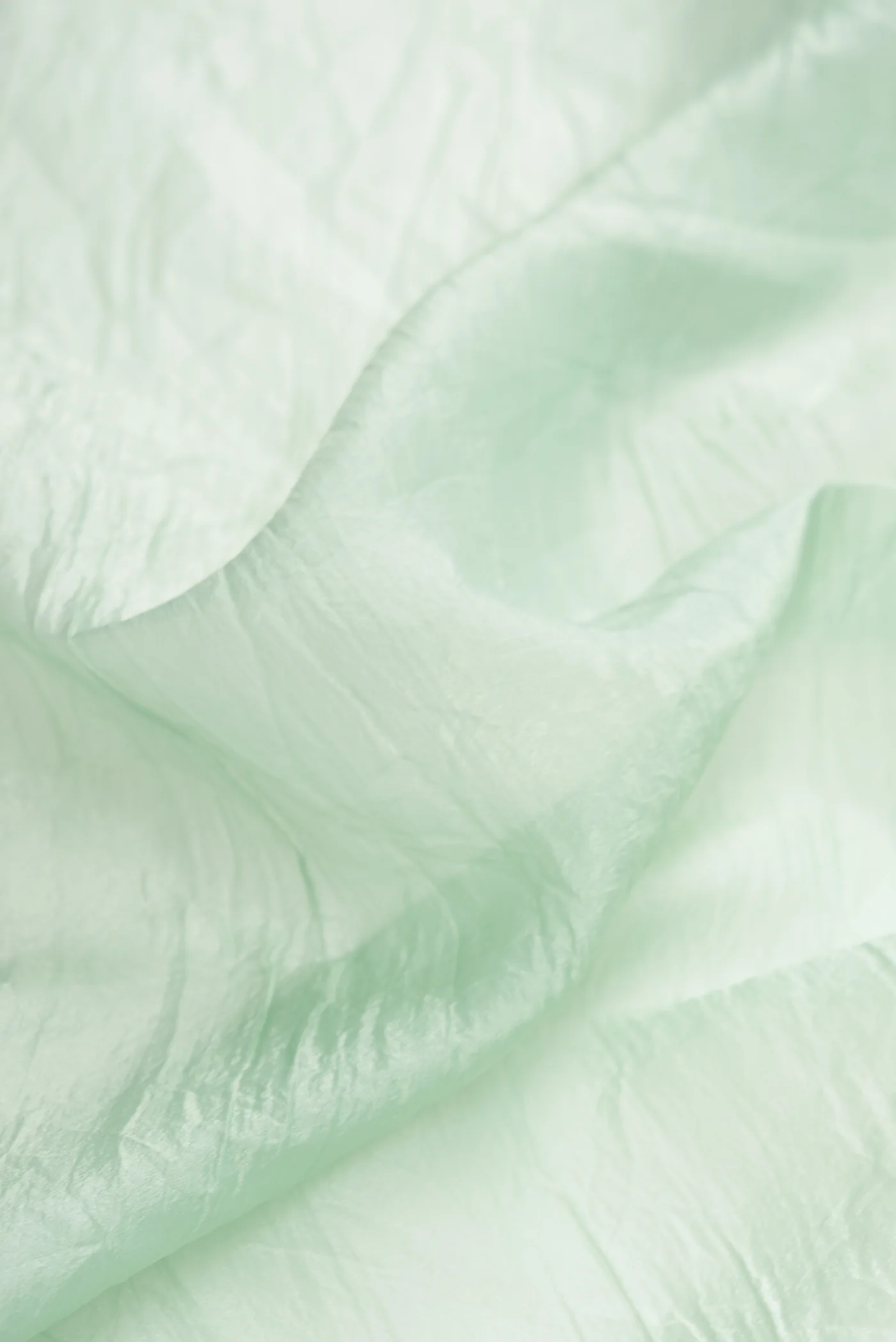 Mint Green Dual Tone Organza Silk Saree - Image 2