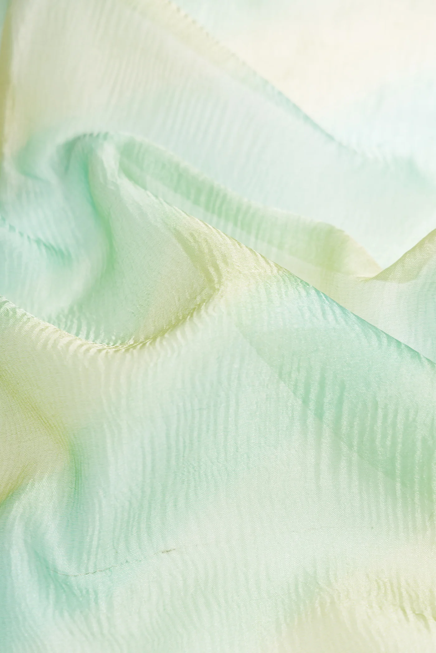 Light  Blue and Gold Color Organza Silk Saree - Image 2