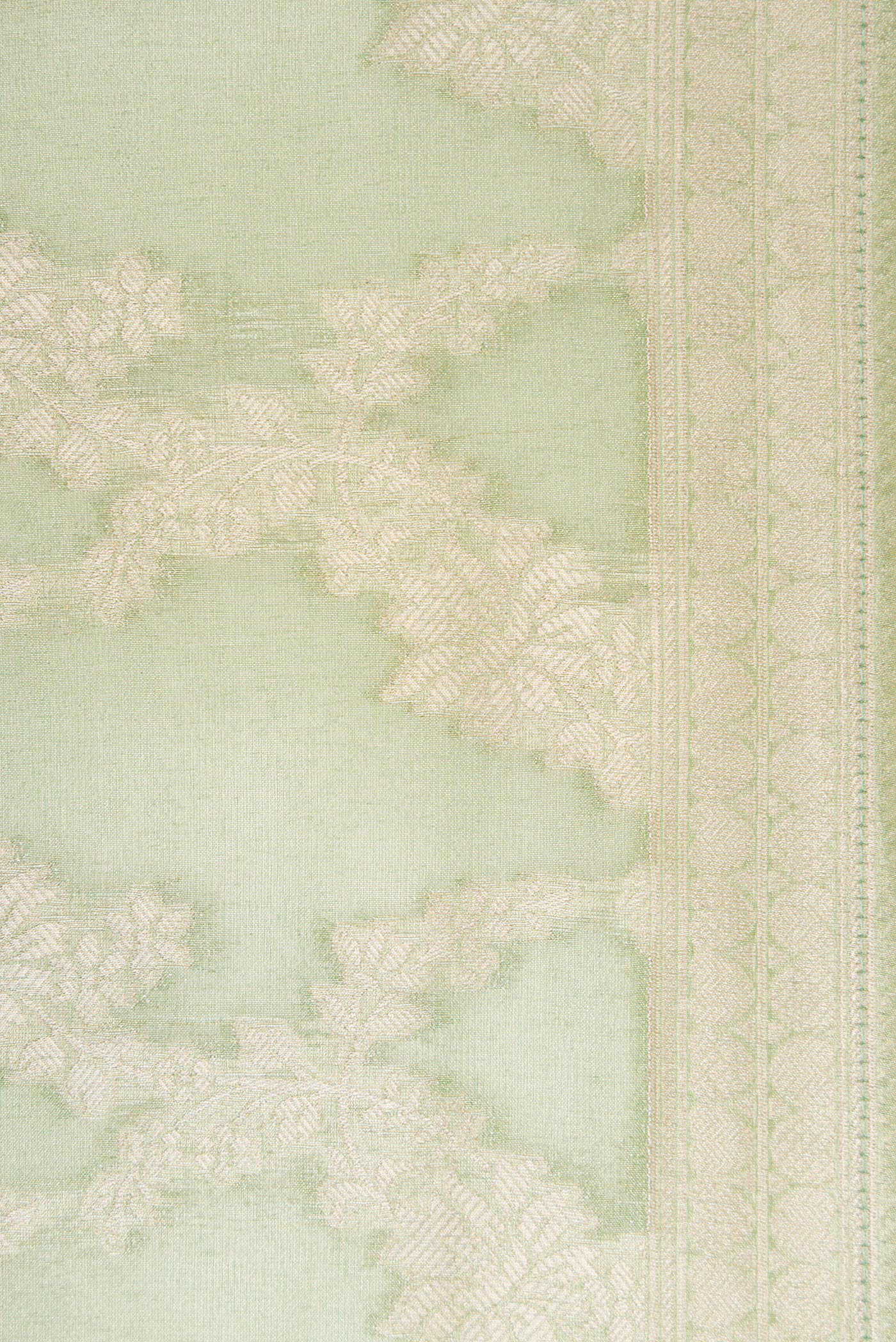 Light Green Tissue Silk Saree - Image 3
