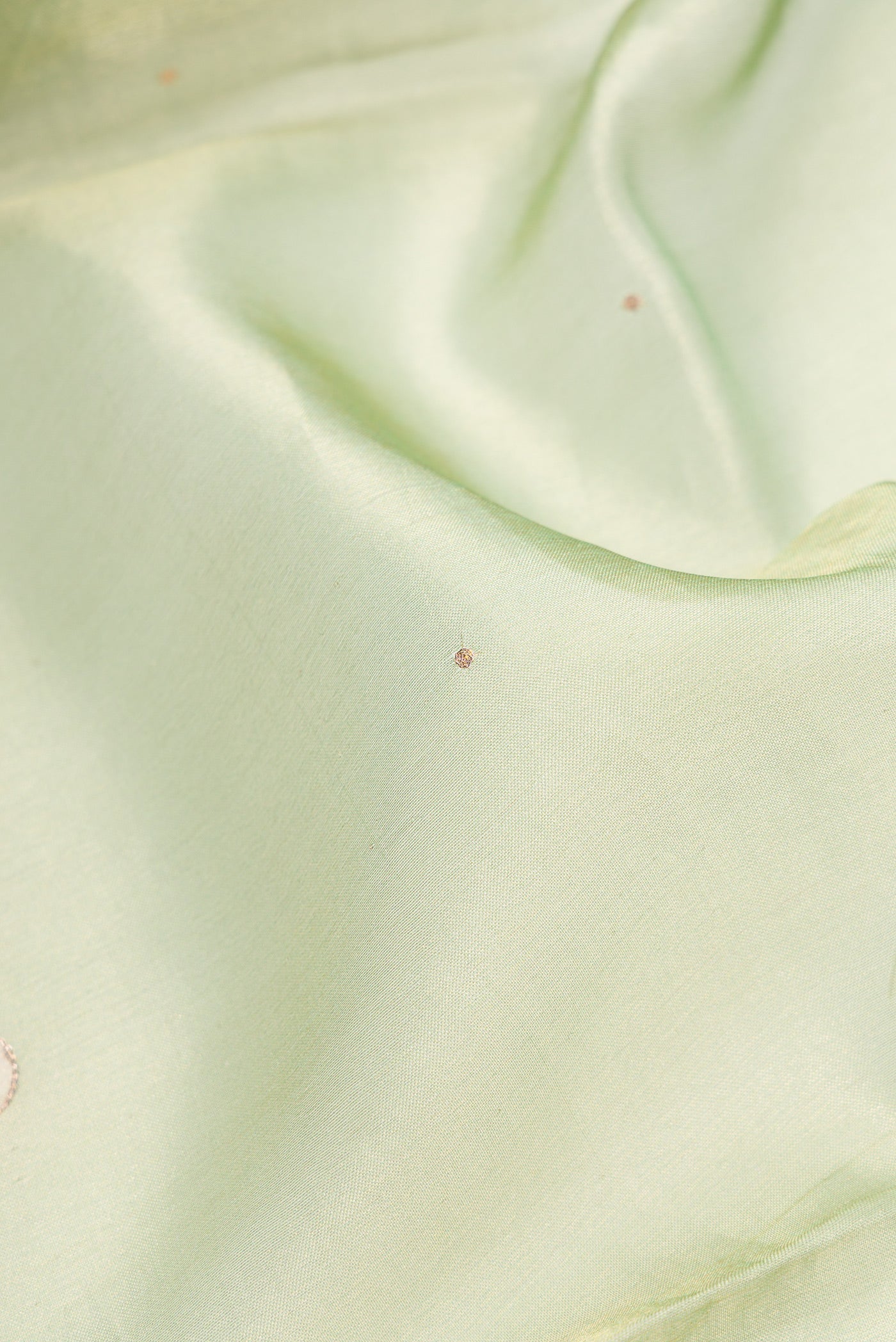 Pista Green Dual Tone Organza Silk Saree - Image 2