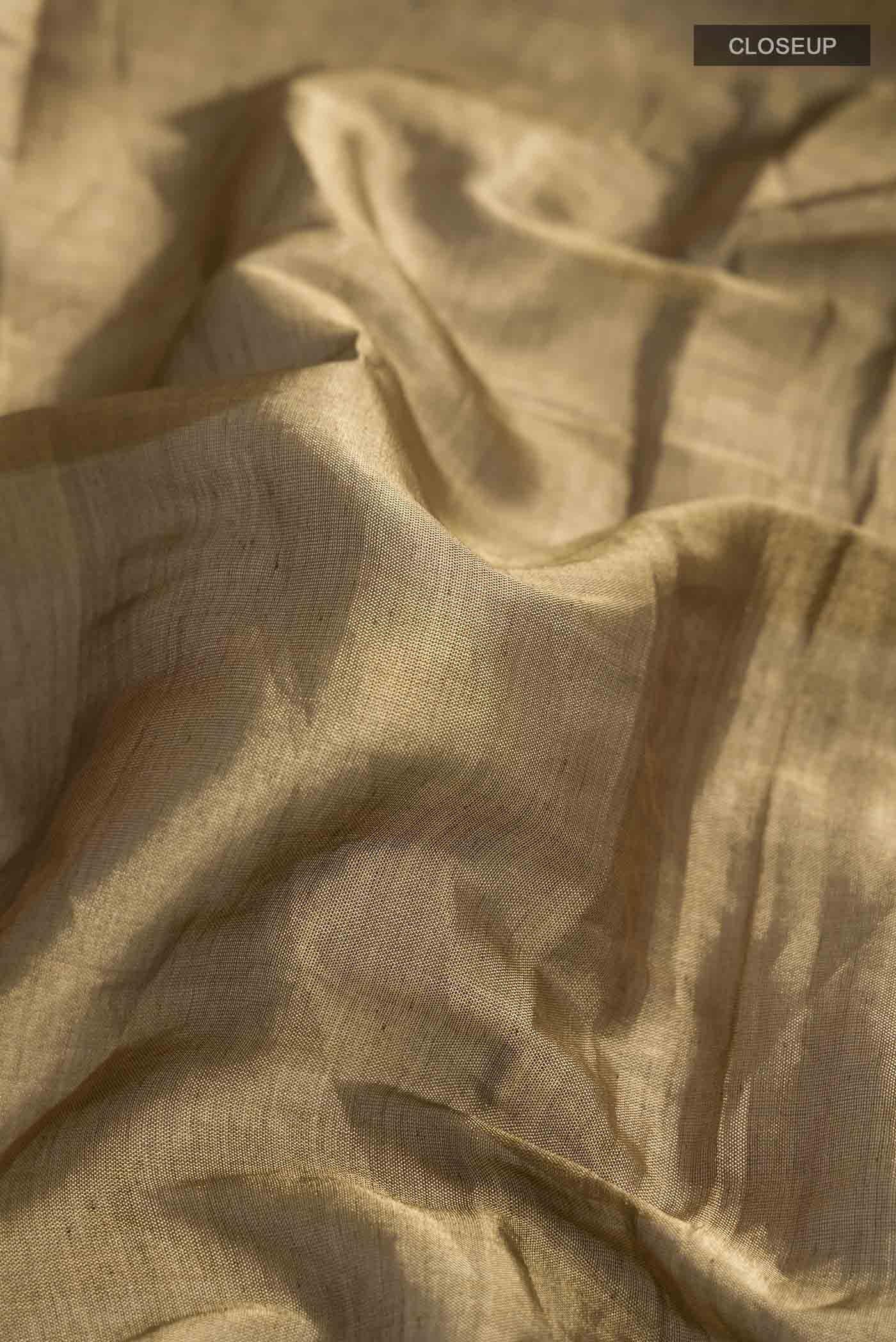 Rumana-Gold Tissue Silk Saree - Image 3