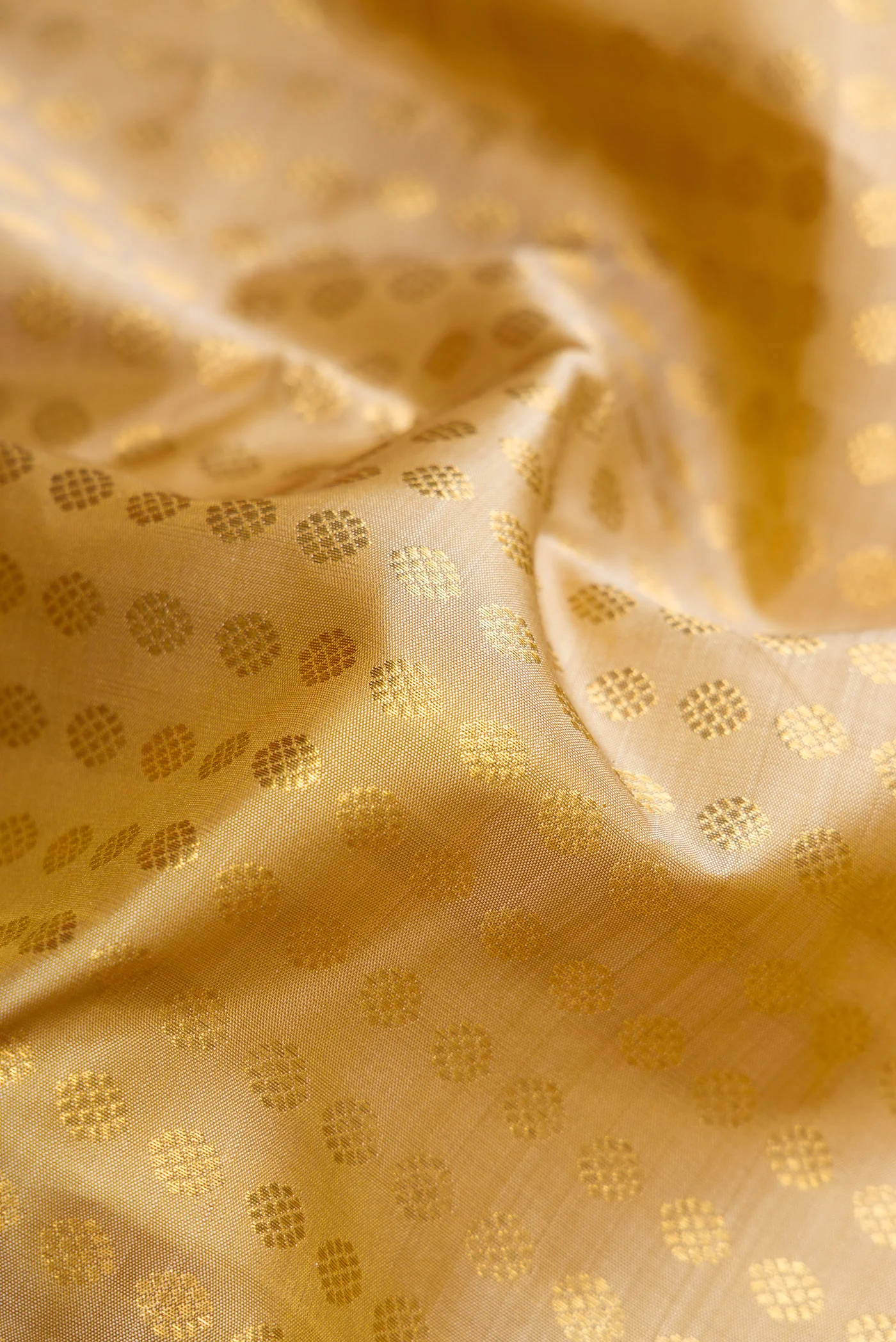 Beige Kanchipuram Silk Saree - Image 2
