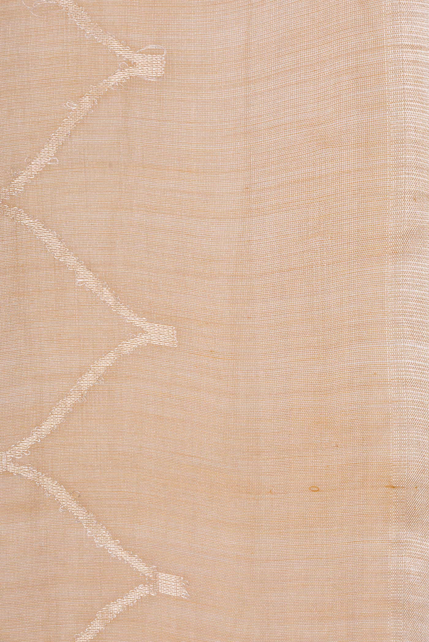Sandal Chanderi Tissue Silk Saree - Image 3