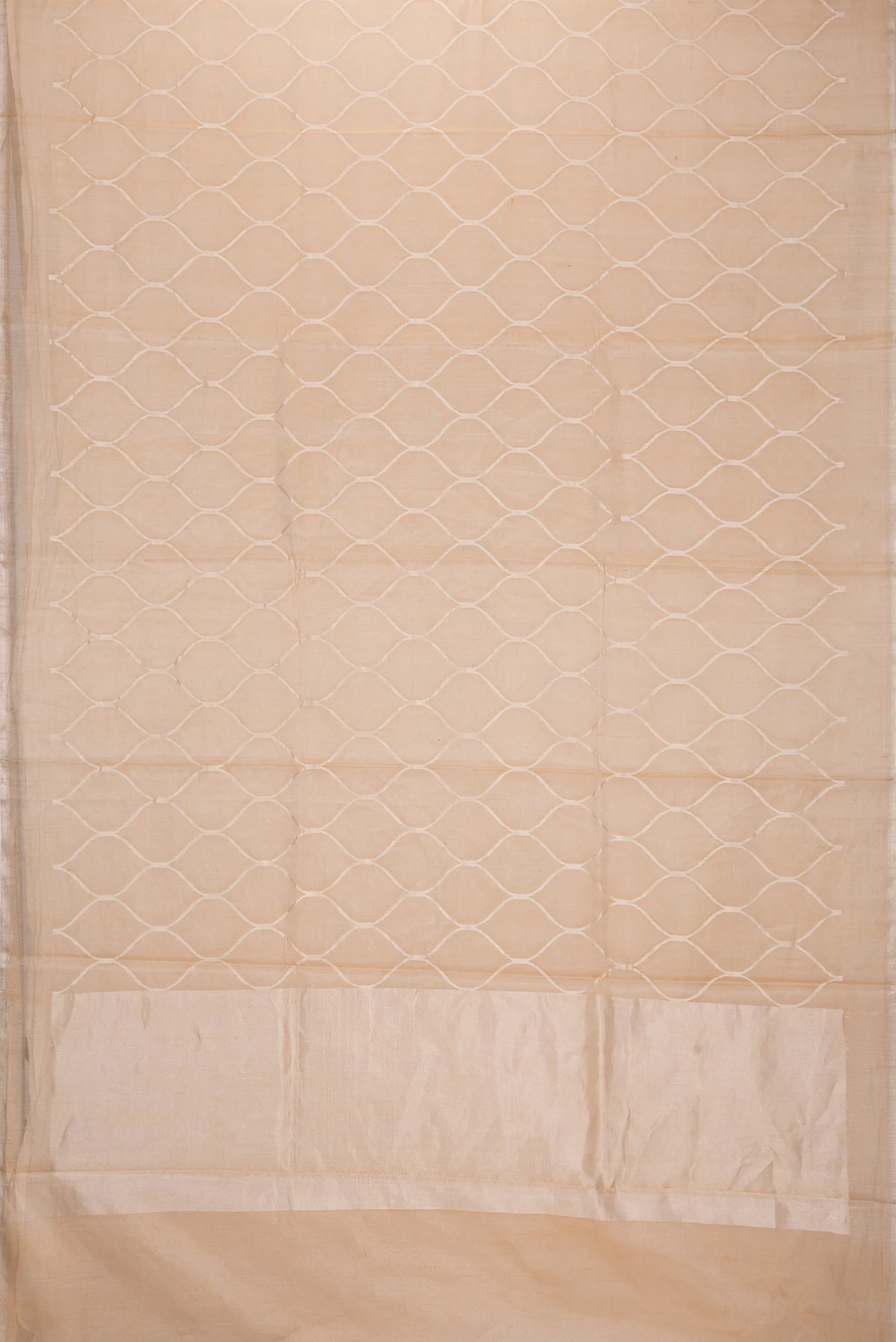 Sandal Chanderi Tissue Silk Saree - Image 6