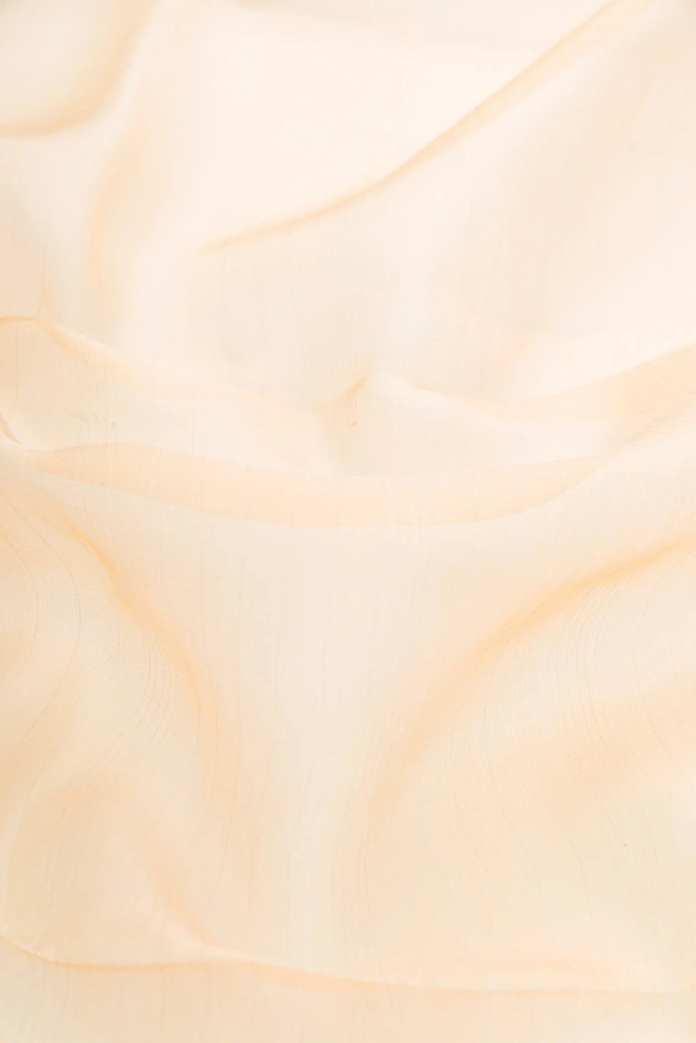 Sandal Organza Silk Saree - Image 2