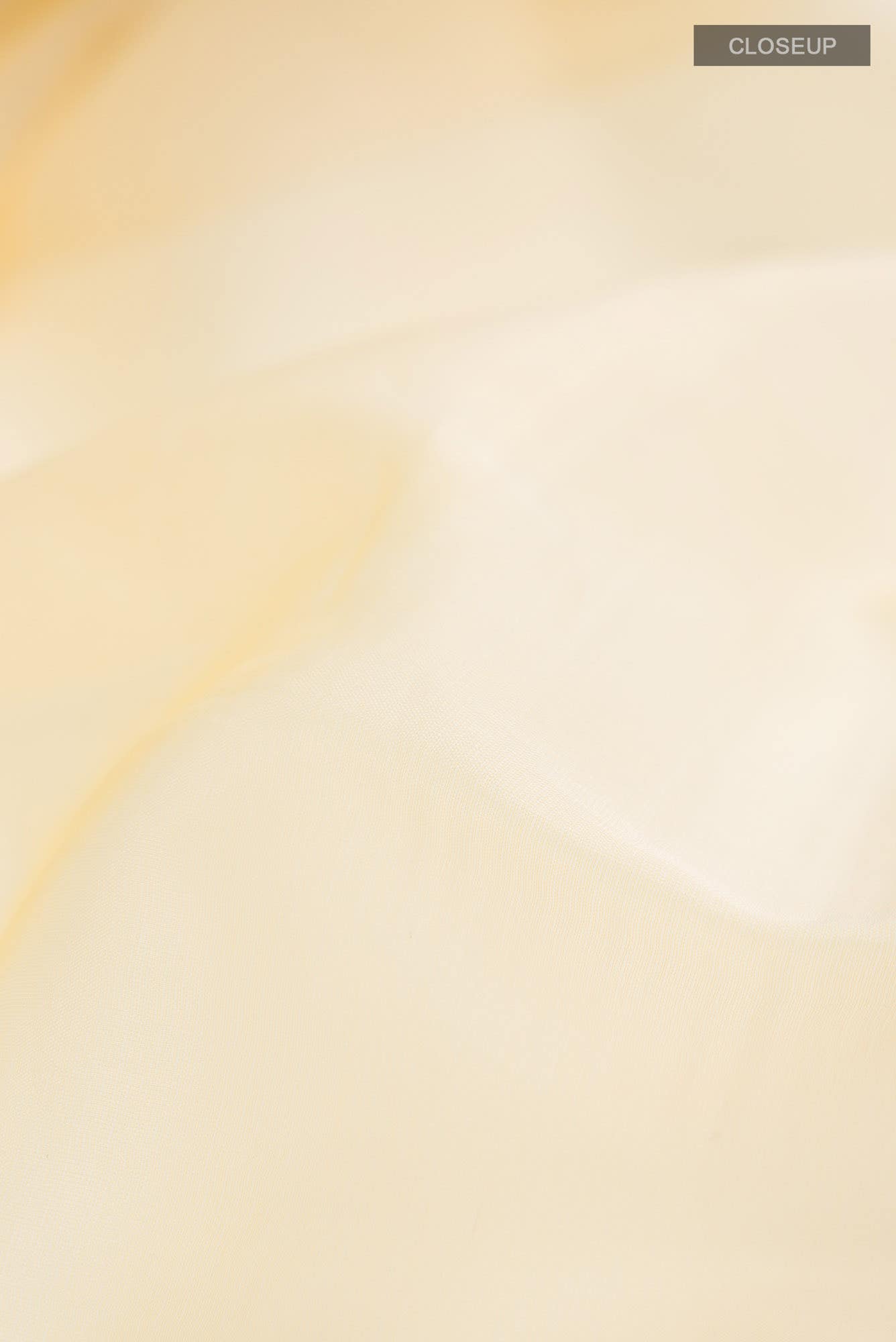 Sandal Organza Silk Saree - Image 2