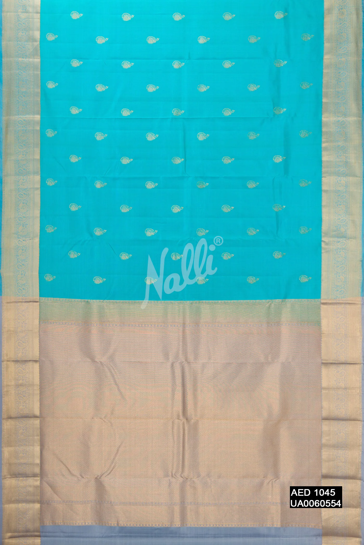 Sky Blue Dual Tone Kanchipuram Silk Saree