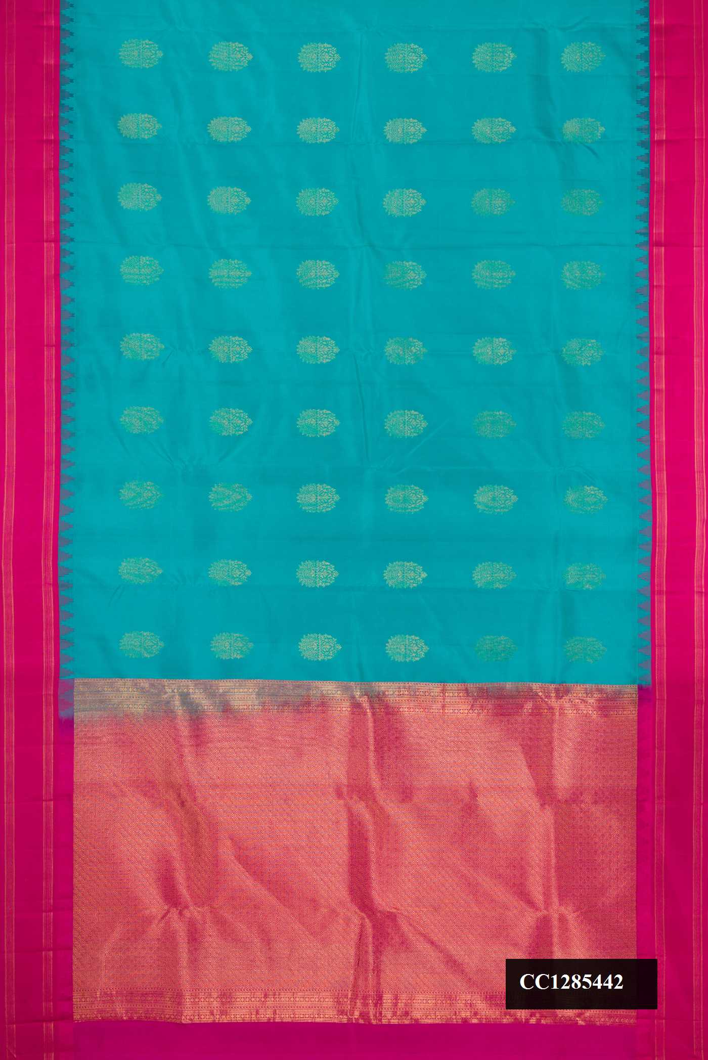 Sky Blue Dual Tone Kanchipuram Silk Saree